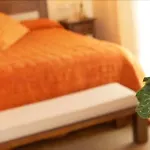 Barrull-costa Brava-emporda Bed & Breakfast
