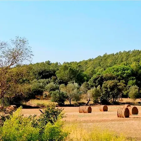 Bed & Breakfast Barrull-costa Brava-emporda
