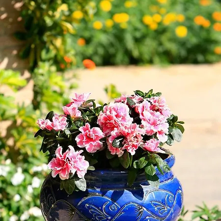 B&B Barrull-costa Brava-emporda
