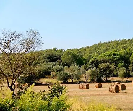 Barrull-costa Brava-emporda Alojamento de Acomodação e Pequeno-almoço
